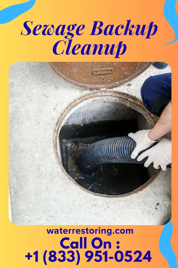 Sewage Backup Cleanup in Moulton, IA